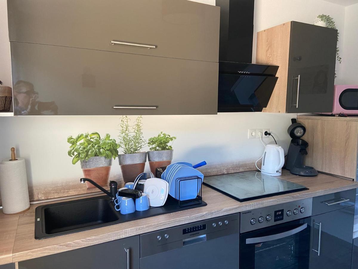 Haus Elsternest Διαμέρισμα Klotten Εξωτερικό φωτογραφία
